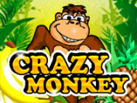 Азартная игра Crazy Monkey
